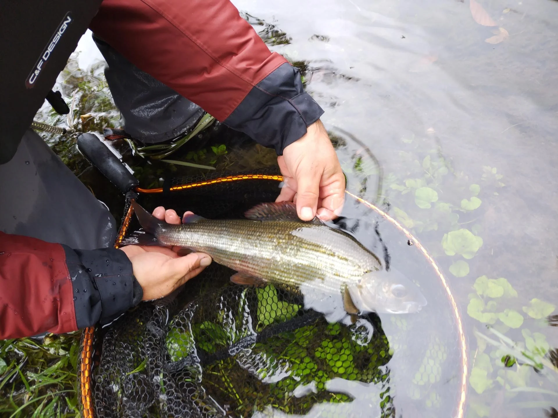 Img 20251001 113204 copie