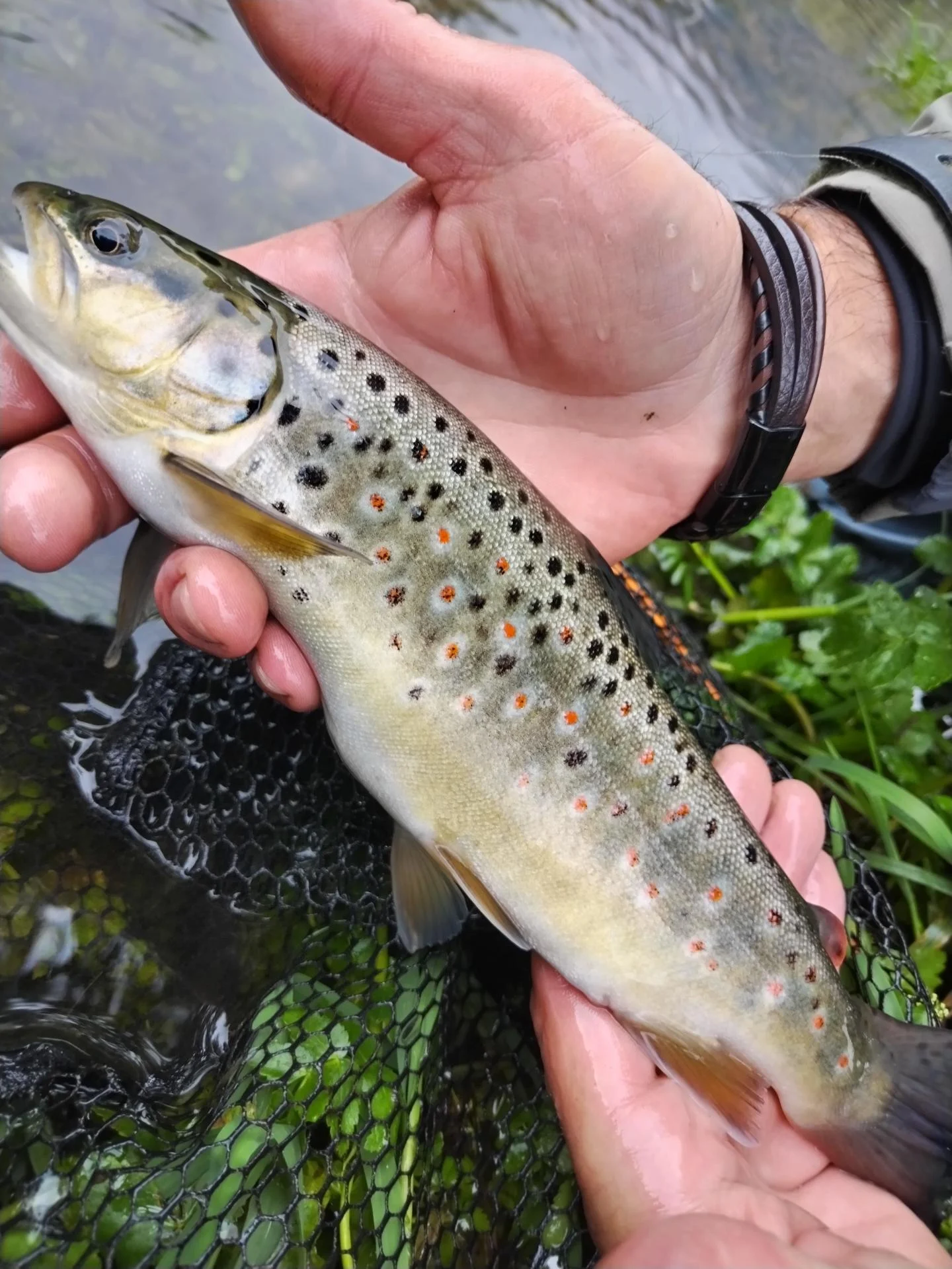 Img 20251001 113816 copie