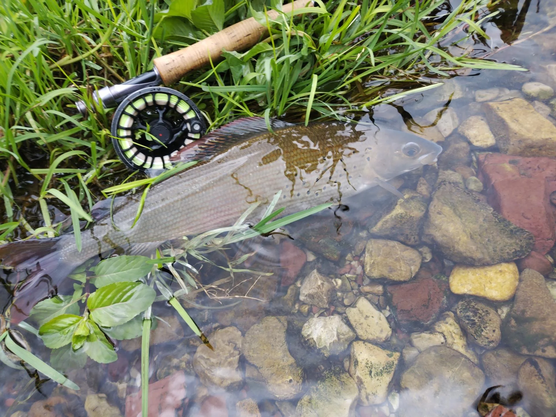 Img 20251002 103839 copie