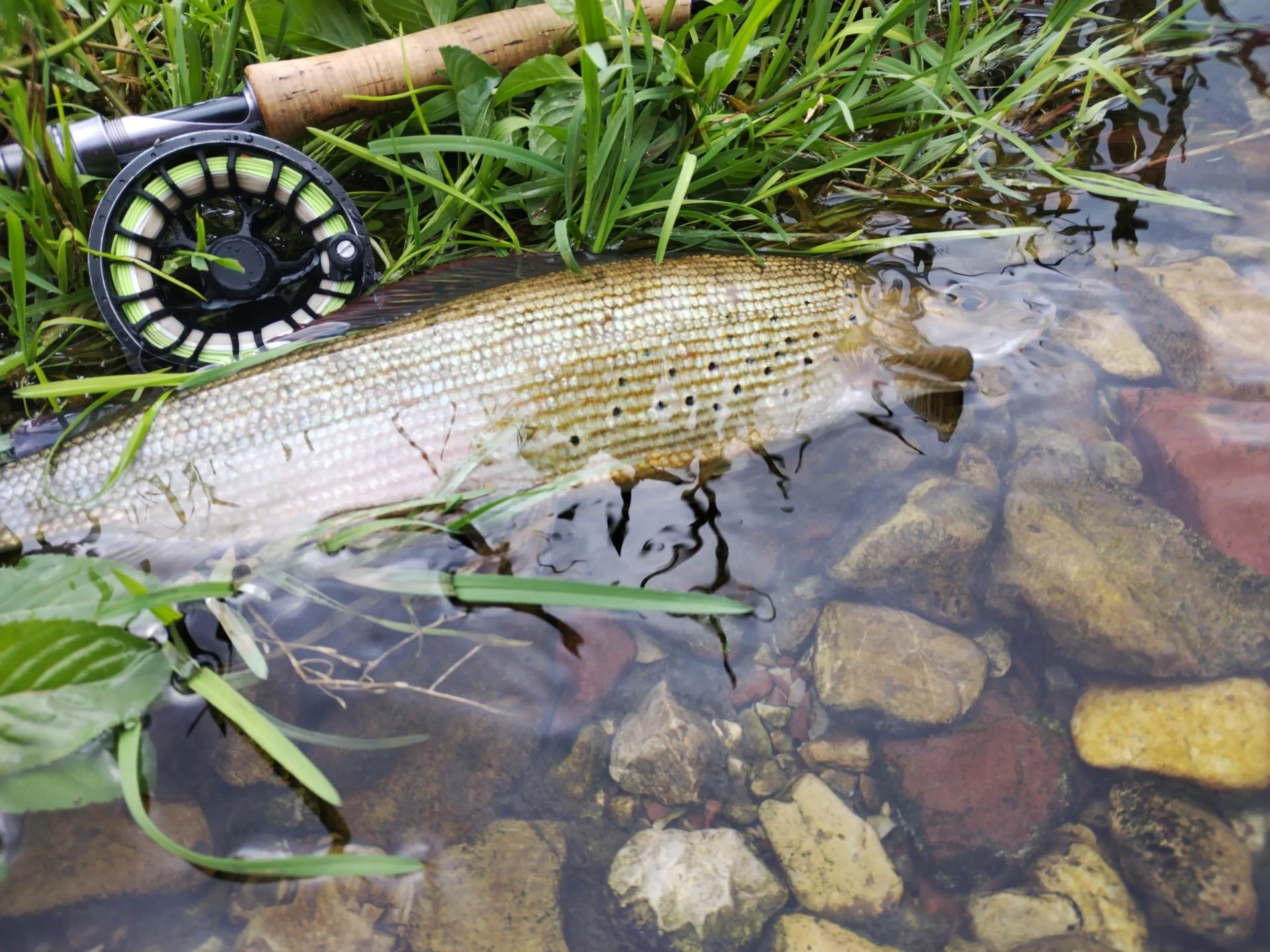 Img 20251002 103843 copie